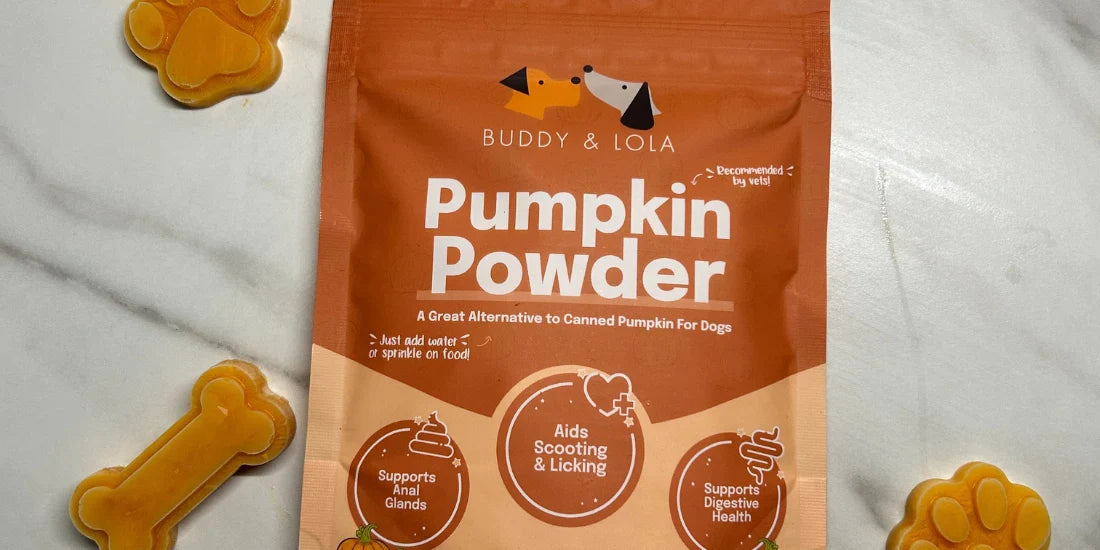 Pumpkin to give dogs best sale