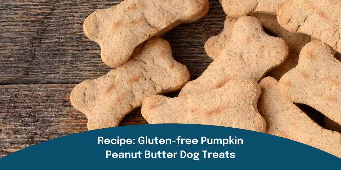 Grain free peanut butter dog treats recipe hotsell