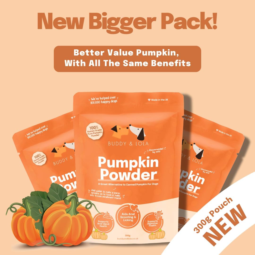 Pumpkin Powder