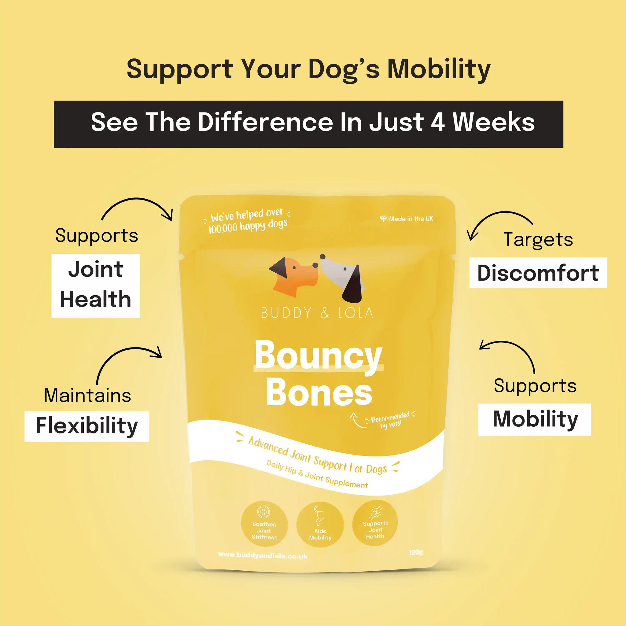 dog joint supplement