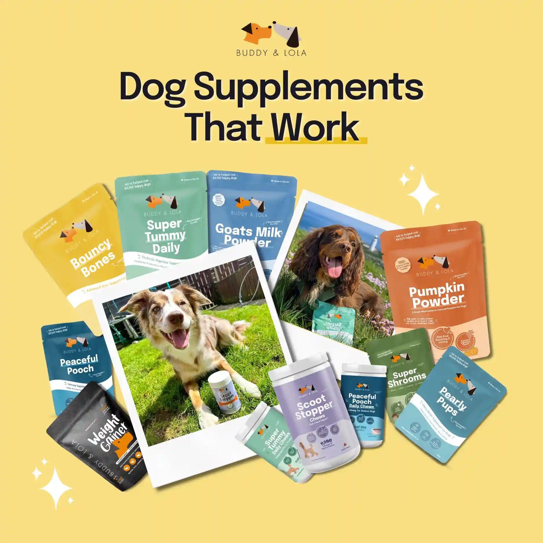 Joint support for dogs