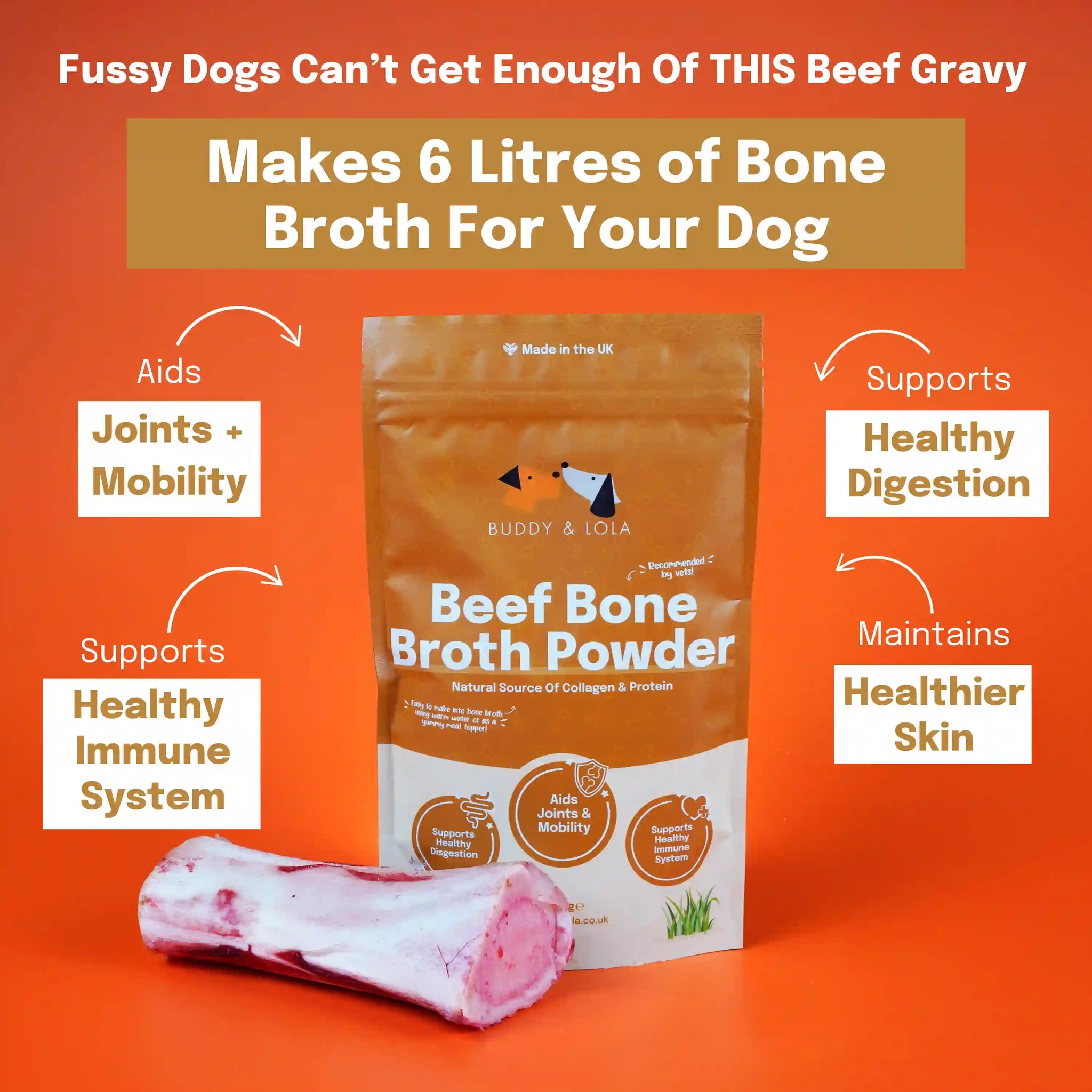 beef bone broth for dogs benefits