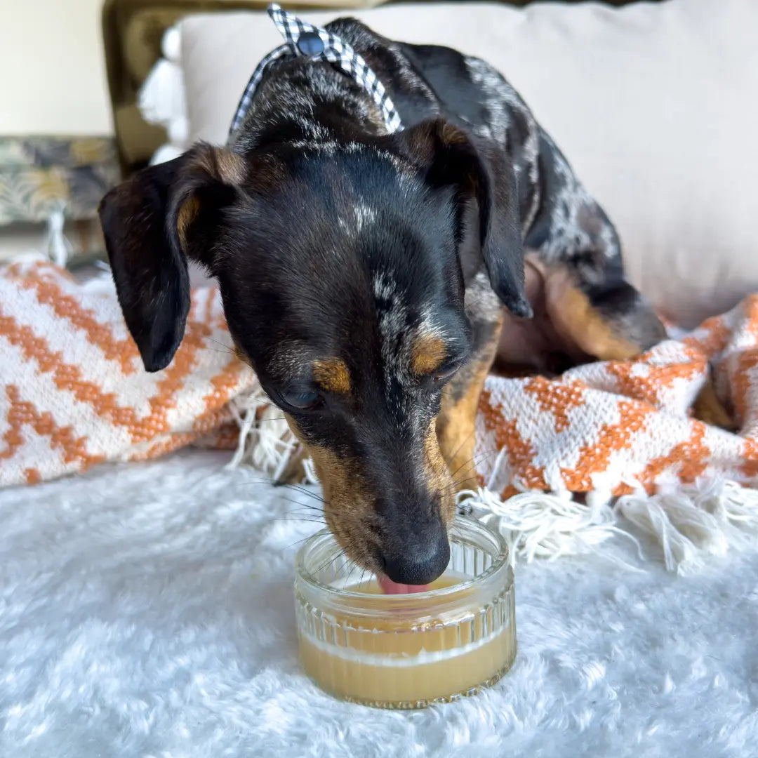 Beef Bone Broth Powder