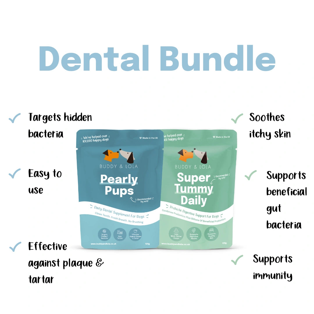 Dental Bundle