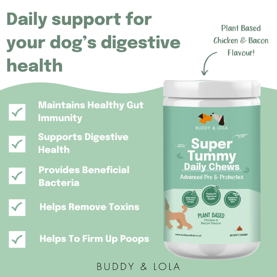 Probiotic bites for dogs best sale