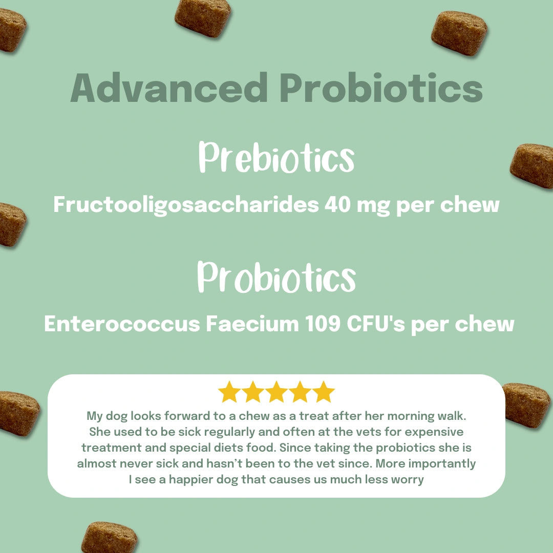 Wholesale - Super Tummy Daily Probiotic Chews