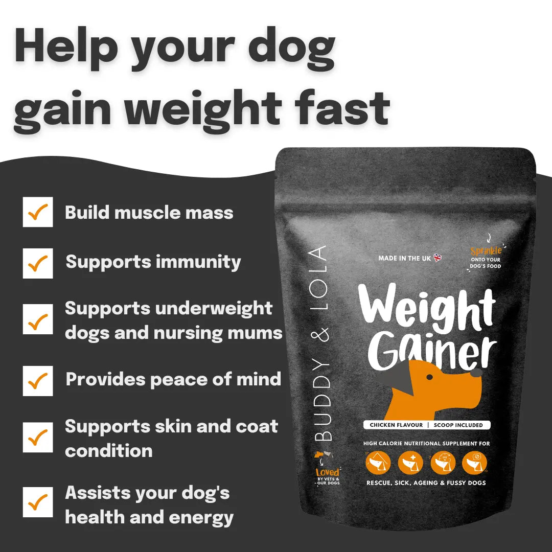 High Calorie Weight Gain Supplement For Dogs Buddy Lola