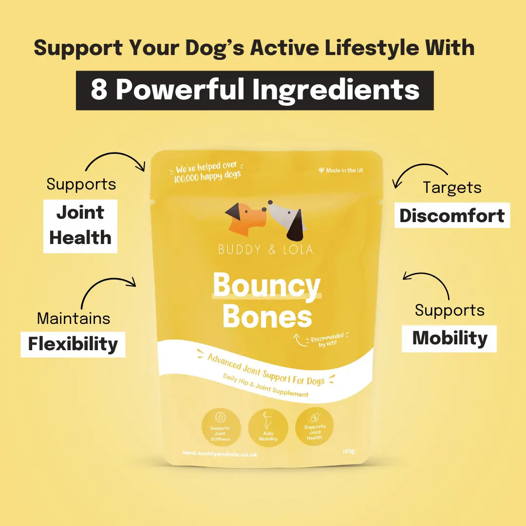 dog joint supplement