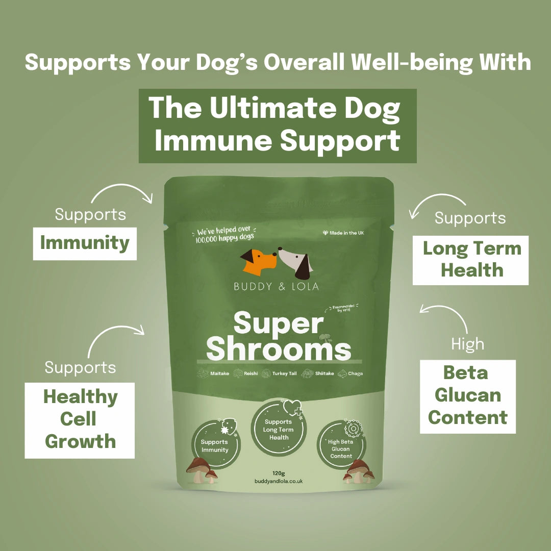 mushrooms for dogs