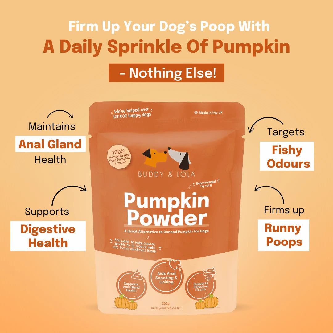 canned pumpkin for dogs alternative