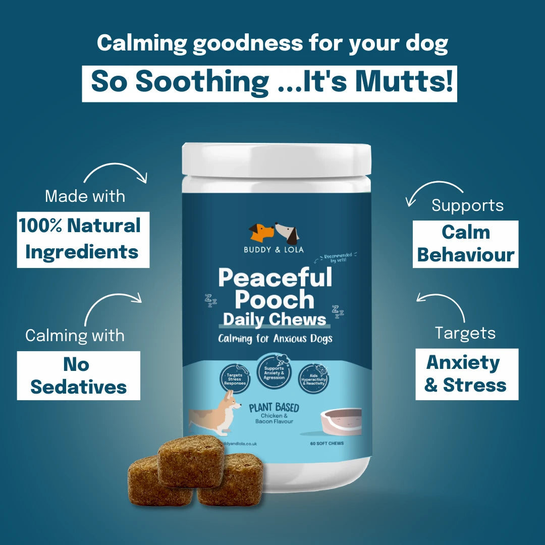 natural calming treats for dogs