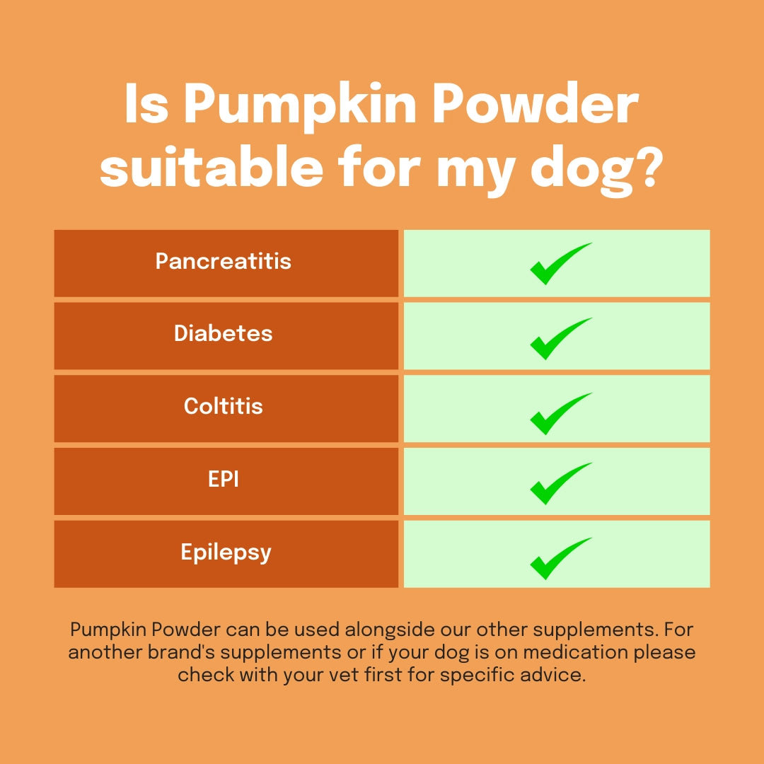 Pumpkin Powder