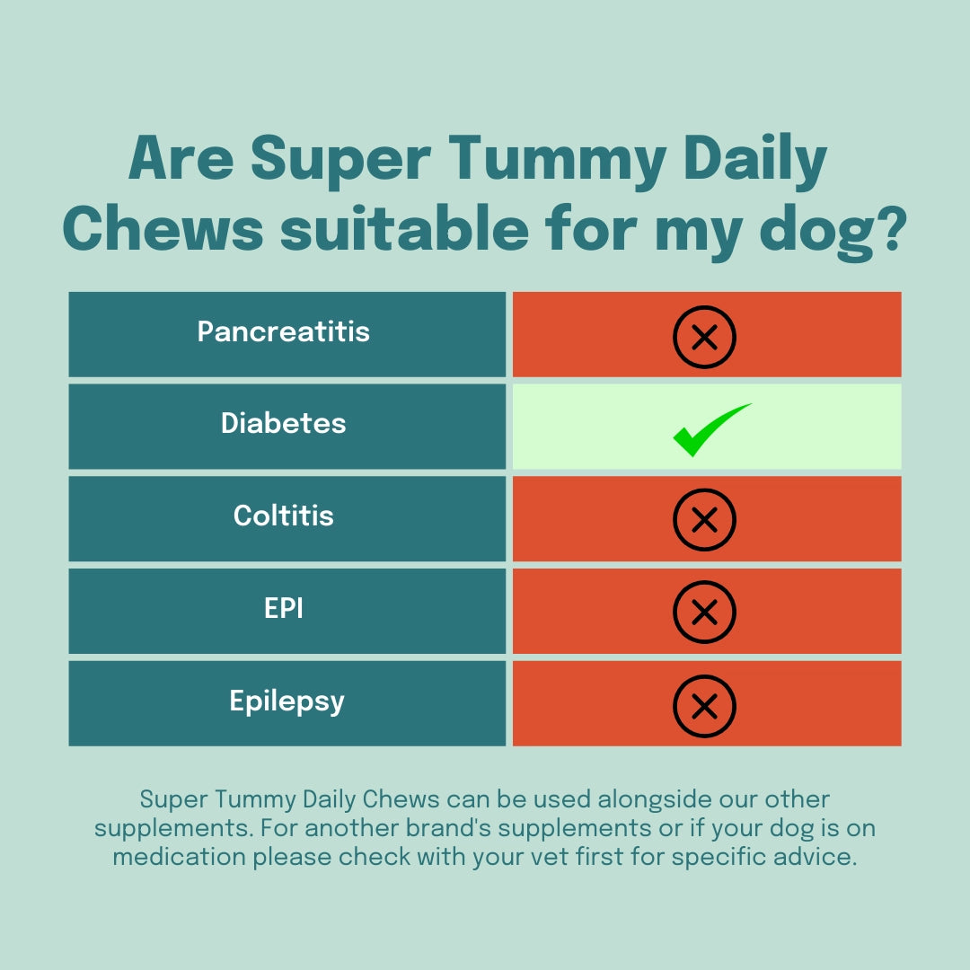 Probiotic chews for dogs