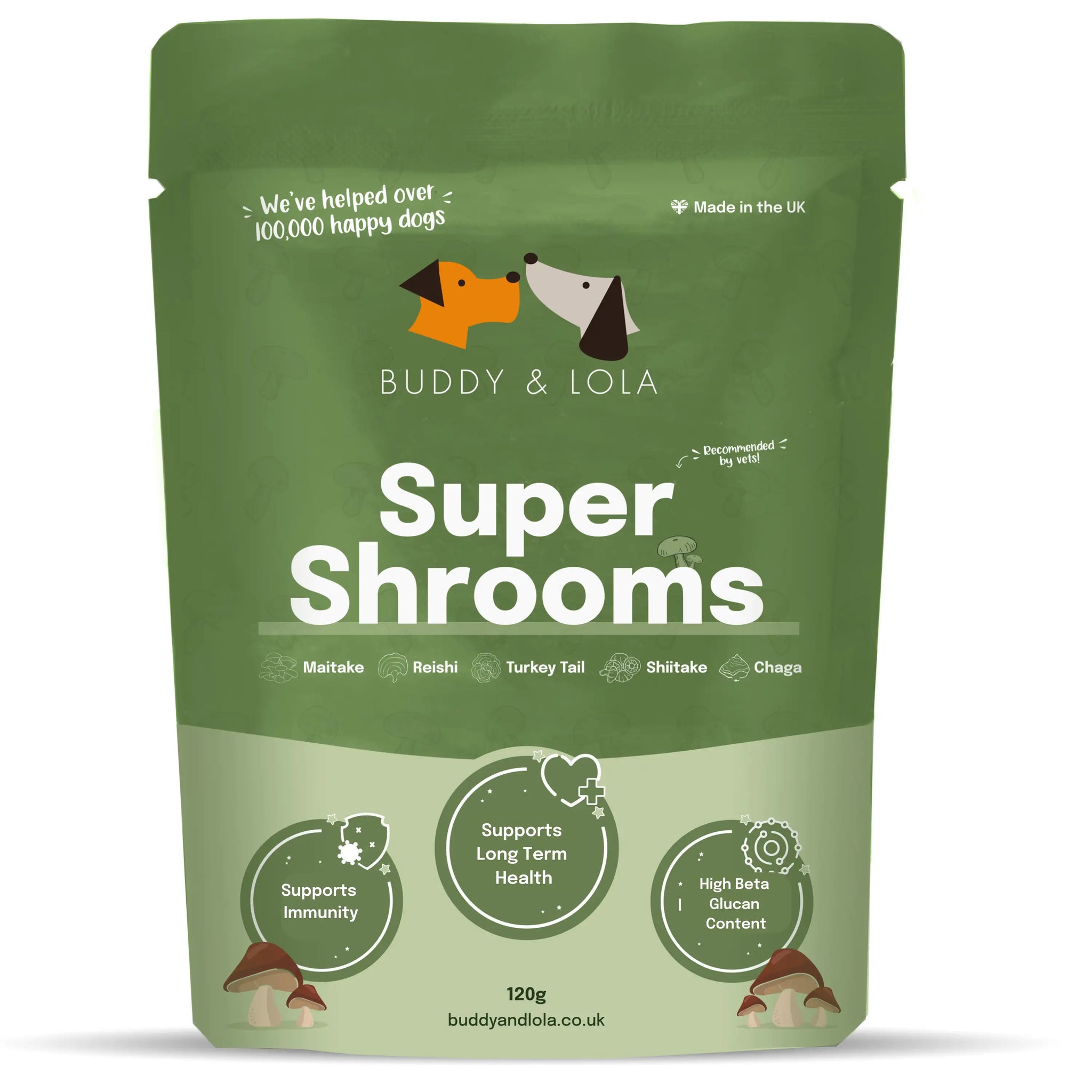 Mushroom supplement for dogs