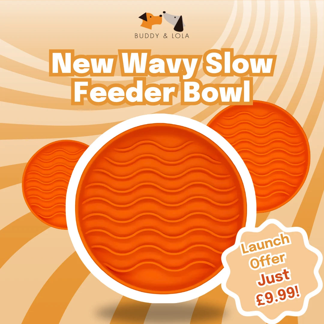 Wavy Slow Feeder Bowl