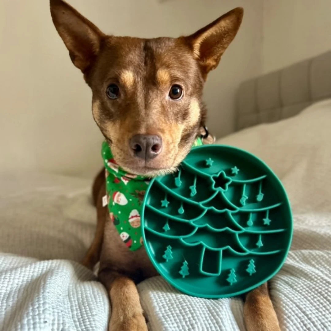 Festive Slow Feeder Bowl