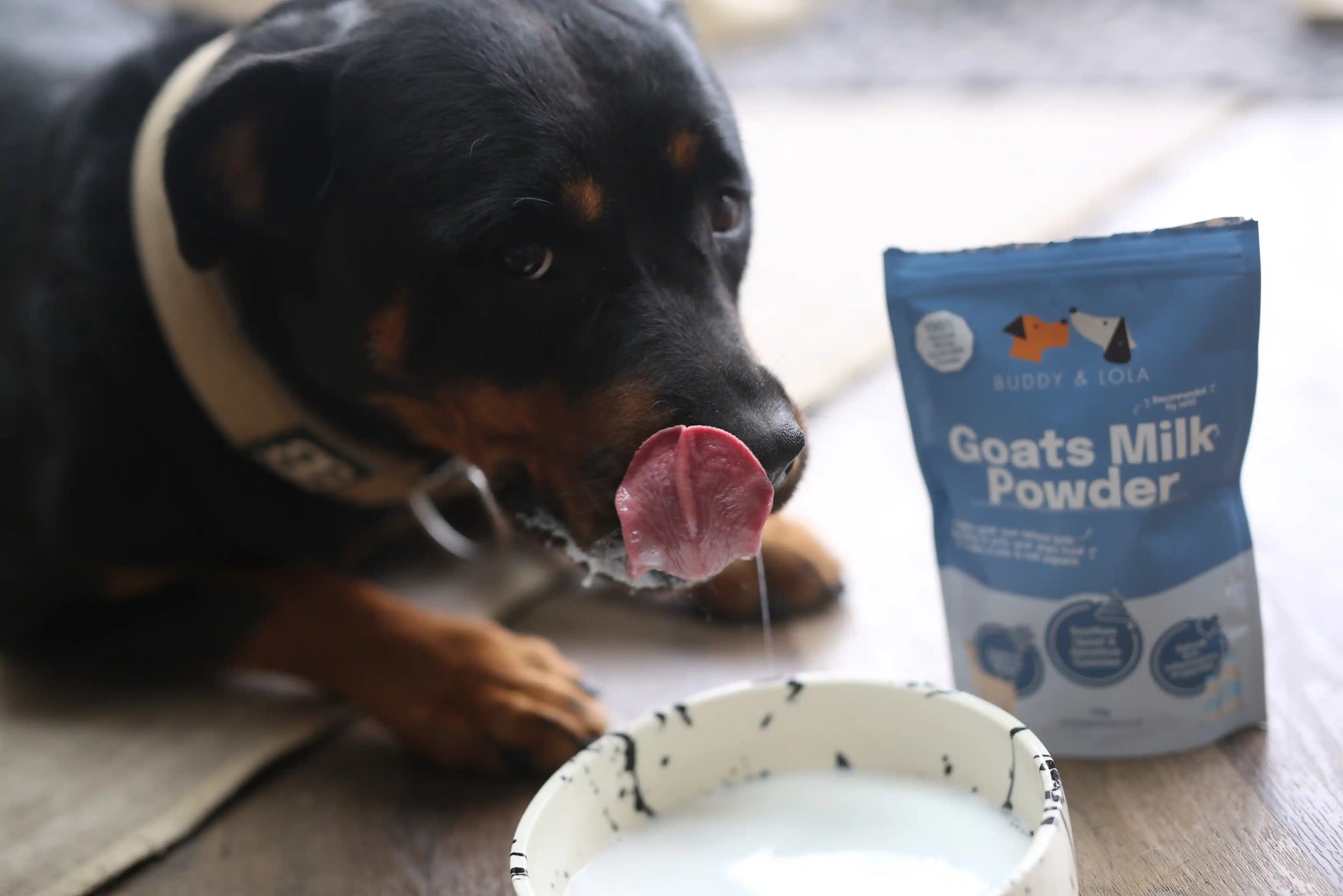 Best Goat Milk Powder for Dogs | High Quality & Nutritious