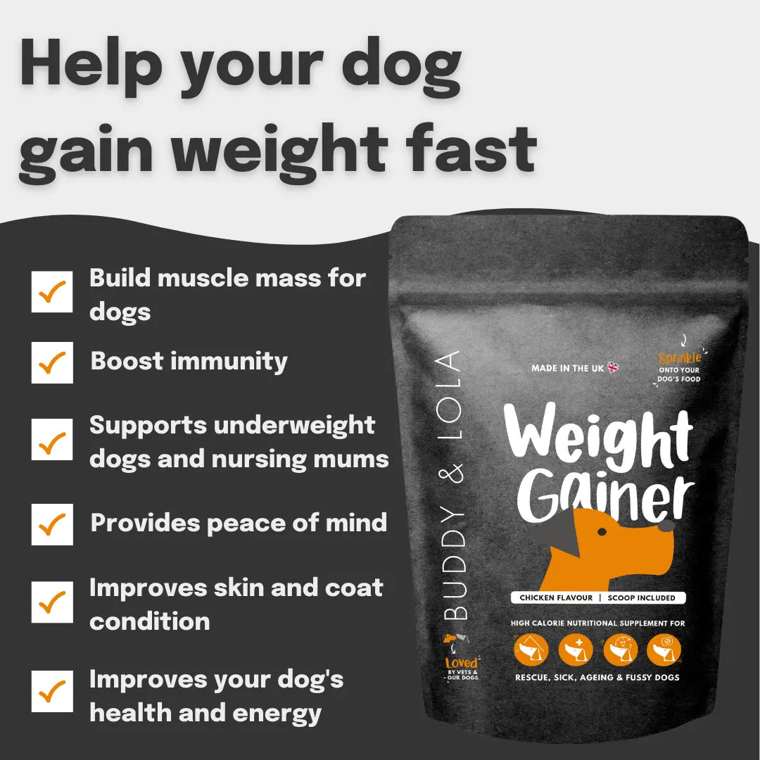 High Calorie Weight Gain Supplement For Dogs Buddy Lola